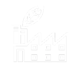C—Environmental—2